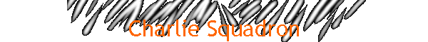 Charlie Squadron