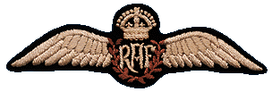 Wings.gif (11957 bytes)